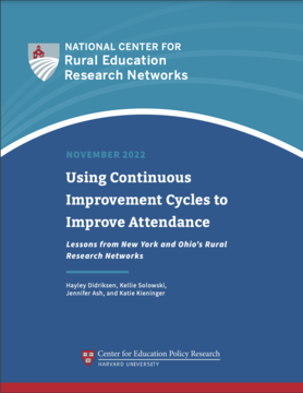 Using Continuous Improvement Cycles