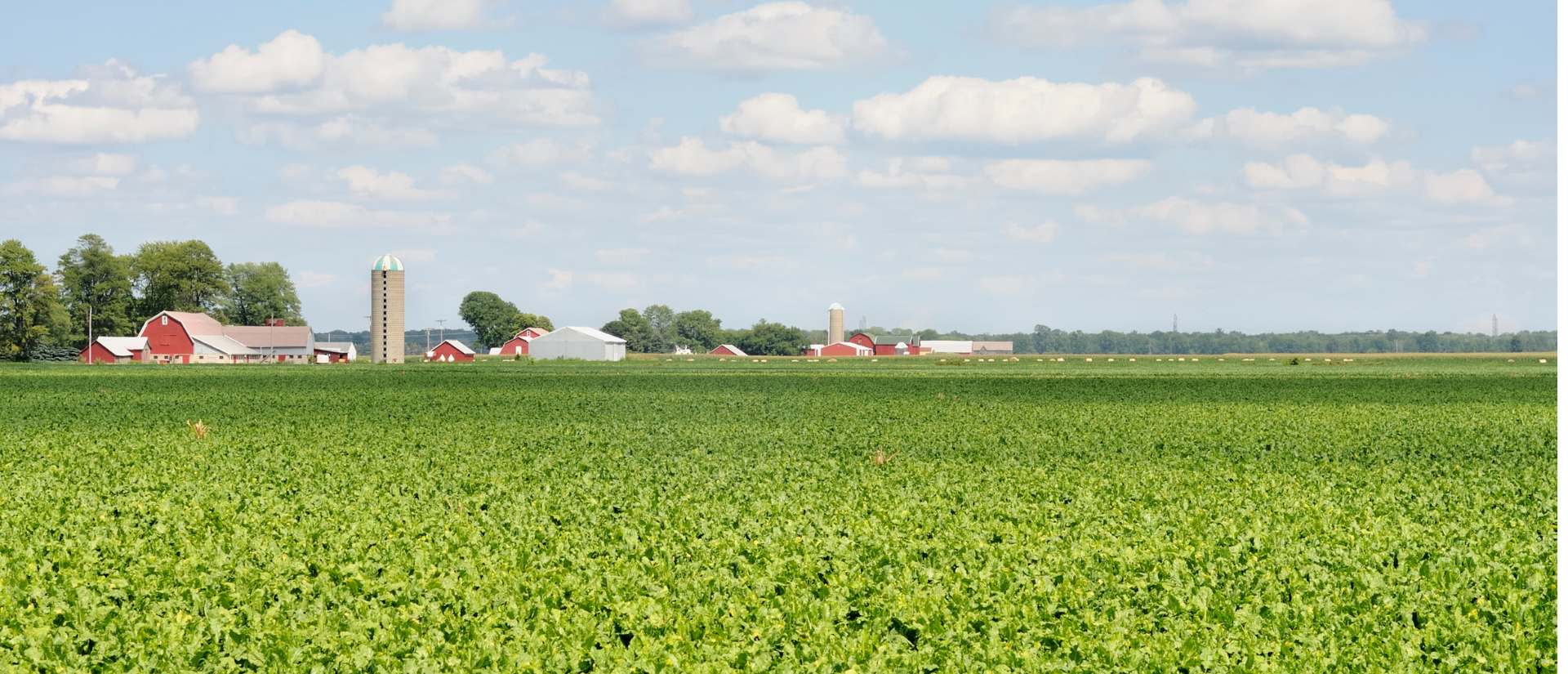 Field with farm in background
